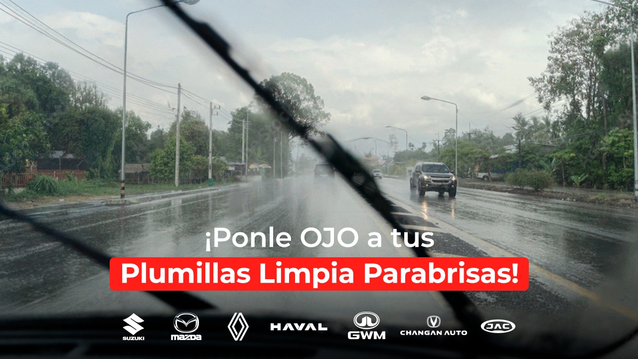 Foto Plumillas Limpia Parabrisas